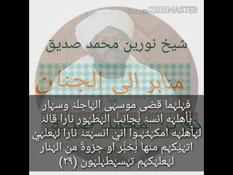 الشيخ نورين محمد صديق سورة القصص