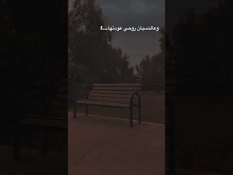 وقريت كتاب فن الامبالاه ستوريات انستا