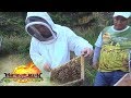 Bees with Jeremy Glinoga | Matanglawin