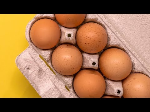 Video: Hoe bewaart isinglass eieren?