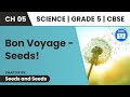 Dispersal of Seeds | Seeds And Seeds | Class 5 Science Chapter 5