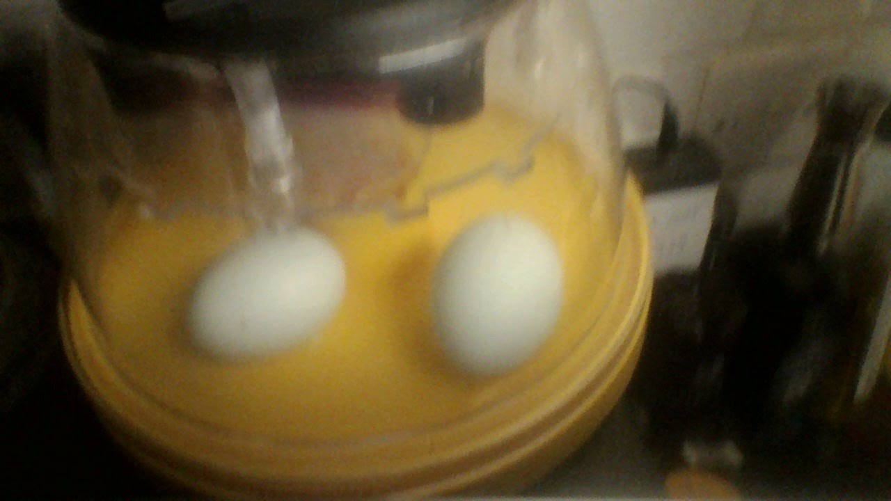 Chicken egg hatching LIVE!!! They've finally pipped YouTube