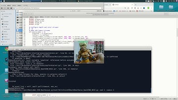 [48 FPS/NCS2 x1] Python+OpenVINO+MobileNet-SSD+MultiProcess+USBCamera RealTime Object-Detection