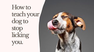 How to teach your dog to stop licking you.