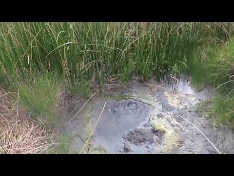 Cual Es La Profesion Del Parque Nacional De Aguas Termales