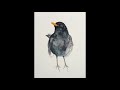 Blackbird - Kit Downes and Joe Webb