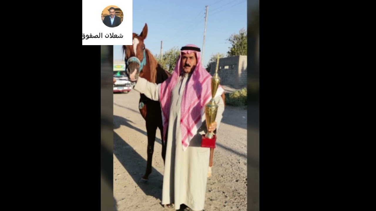 الشيخ غزال الهفل والحصان سيف