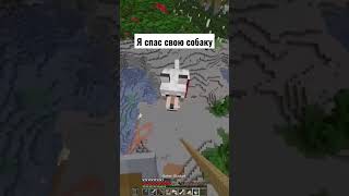 Я Смог Спасти Свою Собаку Minecraft #Minecraft #Майнкрафт