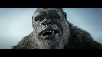 Kong comparison. (Age Of Titans/Godzilla x Kong The New Empire)