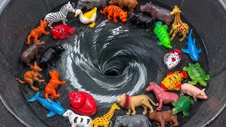 What Happens When Fish, Tigers, Lions, Ducks & Octopuses Meet a Giant Vortex