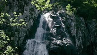 Boyana Waterfall