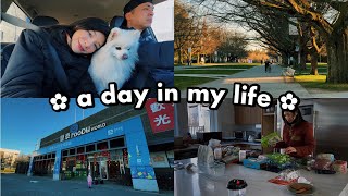a day in my life in vancouver | grocery run, home organization, long walks