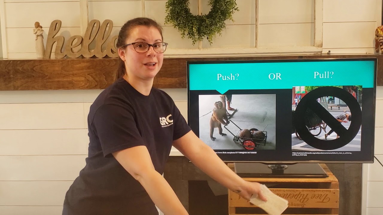 Proper Body Mechanics and Ergonomics YouTube