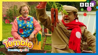 Harvest With Mr Tumble Mr Tumble And Friends