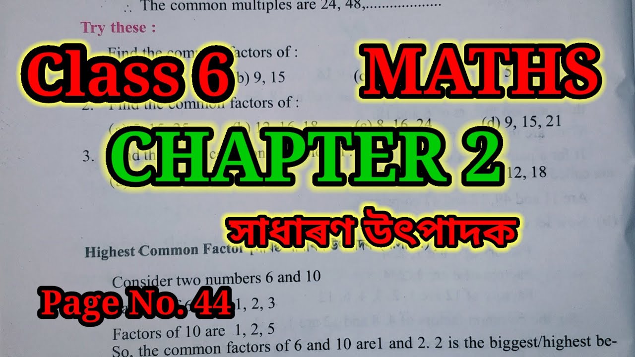 Class 6 | Maths | Exercise 2 | Common factors | Class six mathematics ...