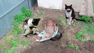 Кот откопал заживо погребенного младенца, подарив хозяйке долгожданного сына