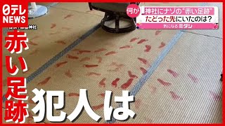 犯人「たのしかったです」 まるで血痕…神社に謎の“赤い足跡”　新潟（2021年6月15日放送「news every.」より）