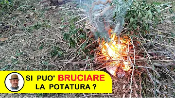 Quando si possono bruciare le sterpaglie 2021?
