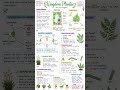 Kingdom Plantae Notes | Complete Plant Kingdom Classification