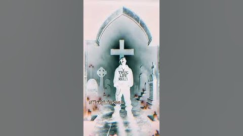 2Pac ft. Jelly Roll – Devil Is a Liar #thuglifereels #tupac #2pac #devilisaliar #jellyroll #hiphop