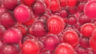 Red Bubbles Transition | Motion Graphics - Envato elements
