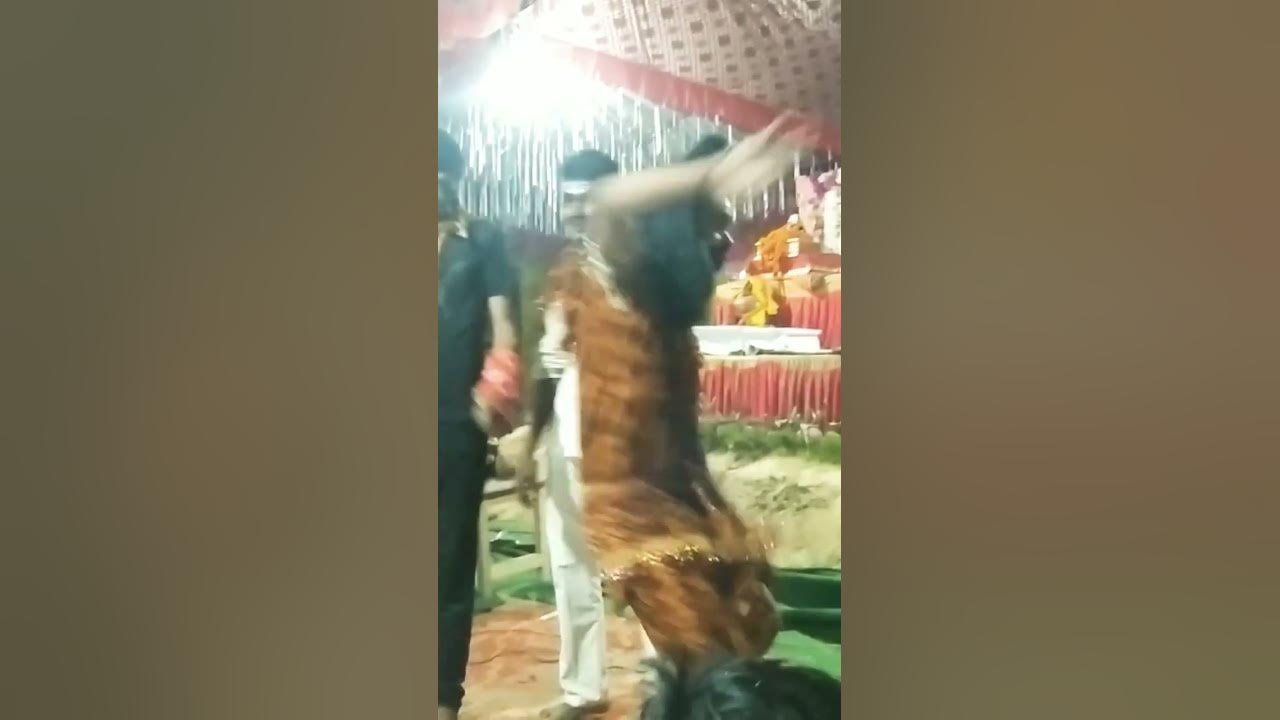 holi khele masane mai album by malini awasthi