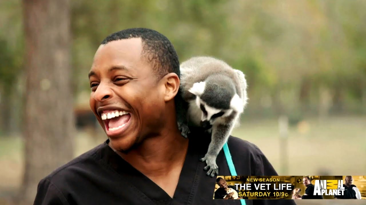 The Vet Life New Season Premieres Saturday at 10/9c YouTube