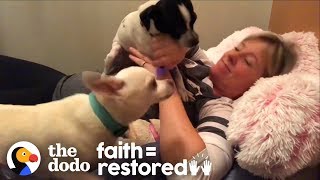 Woman Has Slumber Parties In Animal Shelter To Get Pets Adopted | The Dodo  Faith = Restored - YouTube
