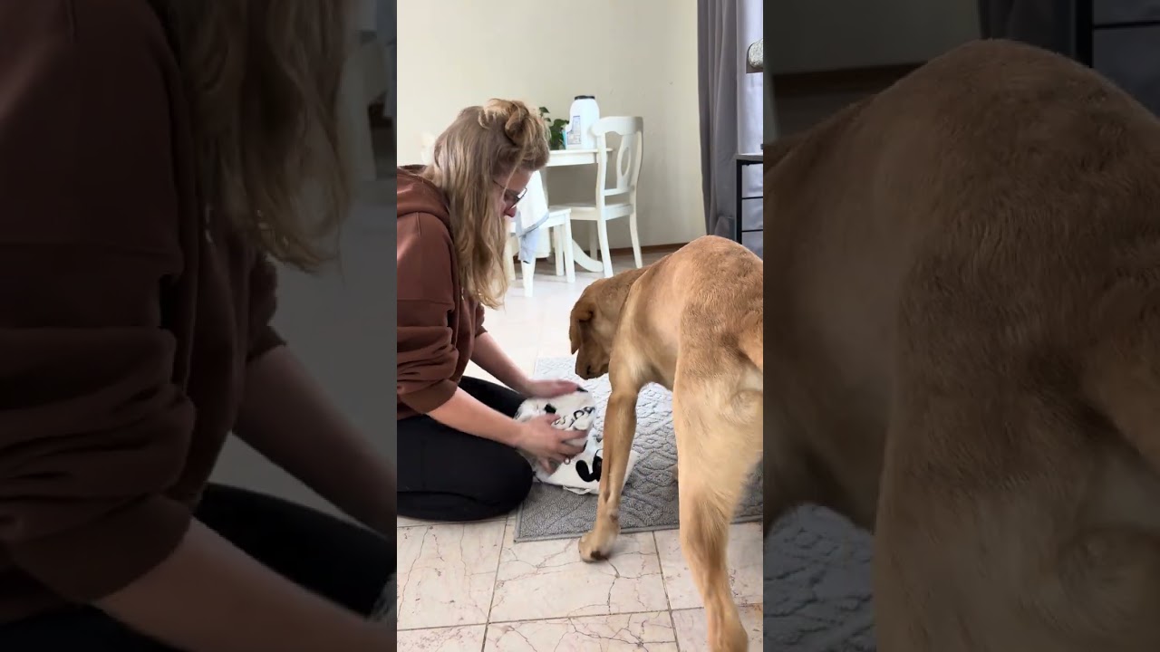 First session teaching to wipe yo mouth