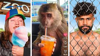 Reels For You And Your Monkey