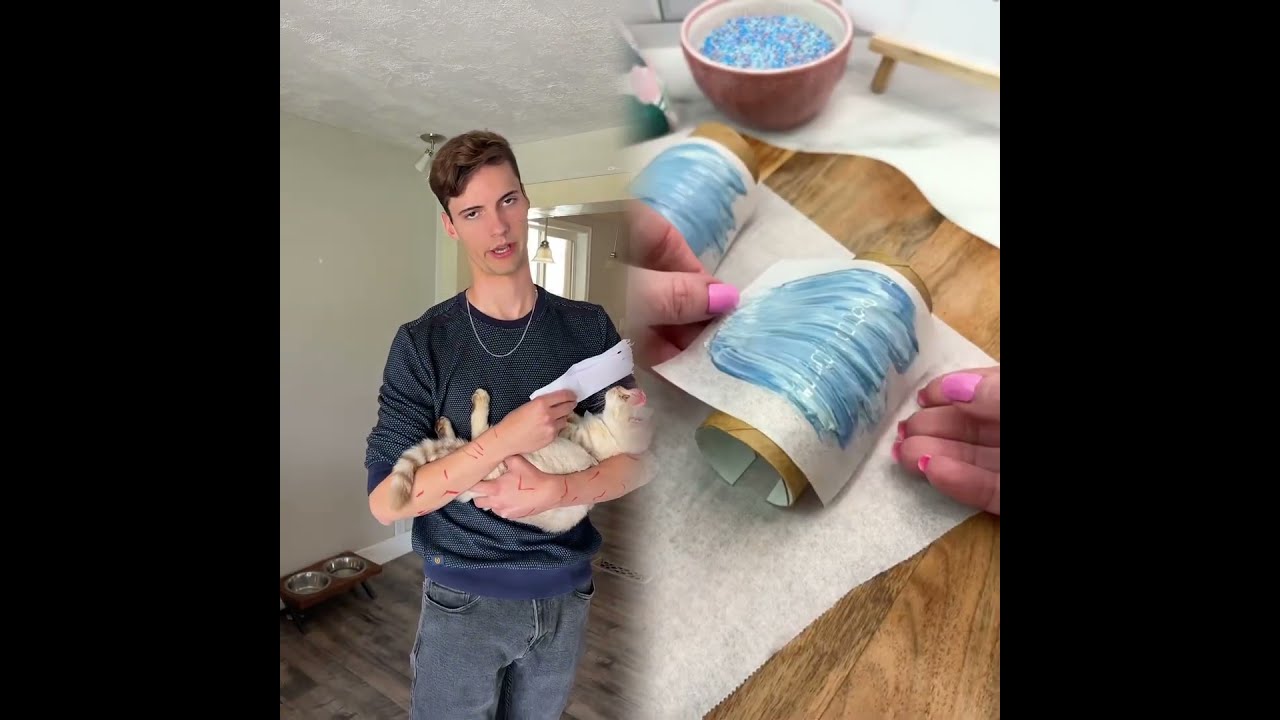 4Unimpressed Cat Catsoftiktok Catowners Catlovers Funnycat Cats