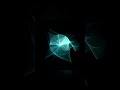 Small Differences, Big Chaos #hypnotic #pendulum