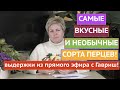 ПРЯМОЙ ЭФИР ПО ПЕРЦАМ! НЕ ПРОПУСТИТЕ ЭТИ СОРТА ПЕРЦЕВ!