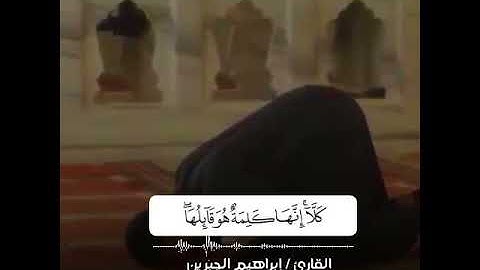 القارئ / إبراهيم الجبرين