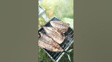 bakar ikan cakalang #shorts #ikan