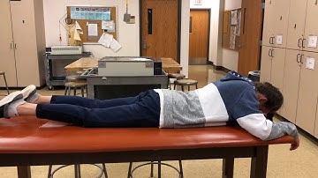 Tonic Labyrinthine Reflex (Prone Position)