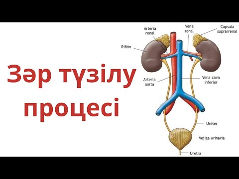 Гомосексуал Стас Михайлов