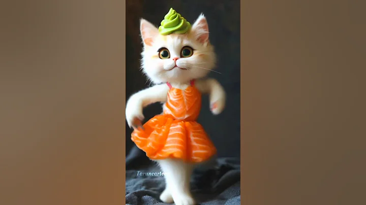 Video 9822631: cat lover dance, cat funny dance