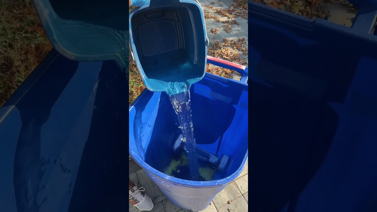 Steps To Clean Your Outside Trash Bin Cleaning Homeowner Homemaintenance Hometips