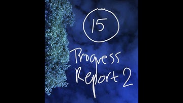 MSTC 101, Video 15: Progress Report 2
