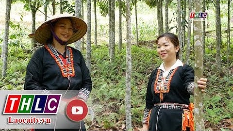 Kết đoàn: Công tác Mặt trận: Phát huy vai trò giám sát, phản biện xã hội của Mặt trận Tổ quốc | THLC