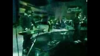 Bittersweet - Kucing Hitam