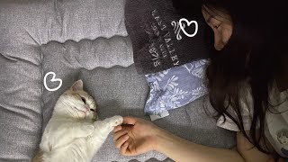 고양이 키우는 사람이 침대에서 일어나지 않는 이유 by 오마이포순 1,215 views 3 years ago 4 minutes, 19 seconds