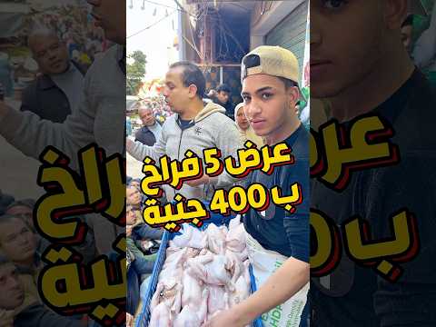 الترند 5 فراخ ب 400 جنية من وزير الغلابة اكسبلور    بط فراخ  