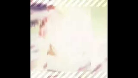 Diona Edit - ♥︎ Missing Kitty ♥︎ (Sammsu)