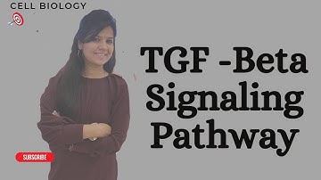 TGF- Beta signaling Pathway #csir net #cellsignaling