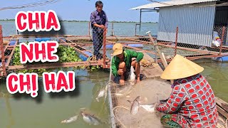 Đòi Chia Cá Với Lý Do Này , Chị Hai La Ỏm Tỏi | #66TV #fishing