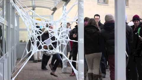 Threshold Project - Architecture - University of Bath