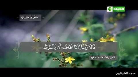 ربنا إننا نخاف | من سورة طه | القارئ الشحات محمد أنور