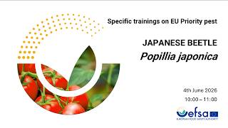 FR Statistically sound survey of Popillia japonica - French subtitles